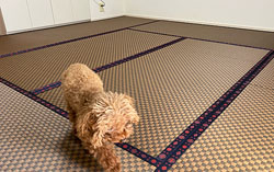 �t���[�����O��