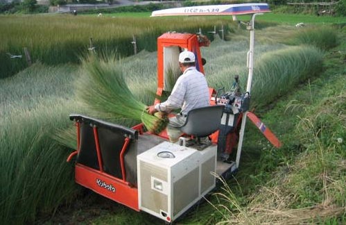 ������\�̂ł���܂ŁB