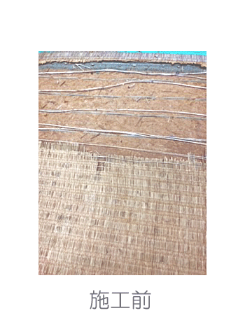 �j�ꂽ�����@�{�H�O