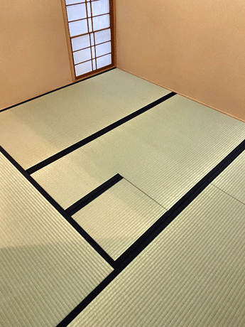 ���ꂢ�ȏ�