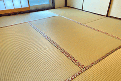 �L�����ł����S�̘a����