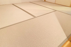 �L�����̂������̏�