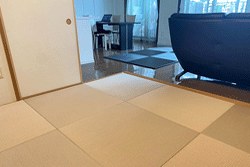 �����J�N�e���t�B�b�g