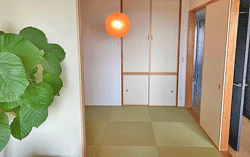 �I�[�_�[������