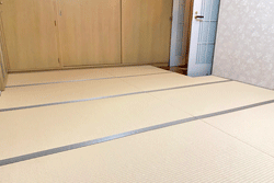 �m����̒���