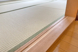 �_�C�P����@���s