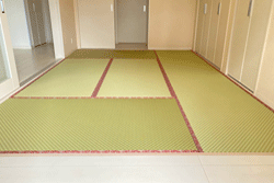 �_�C�P���s���a����