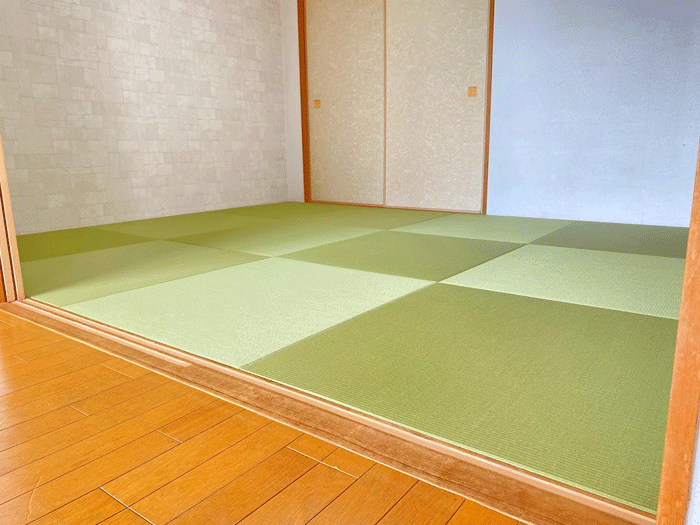 �_�C�P����@���