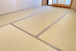 ���s�@�����ݒ���