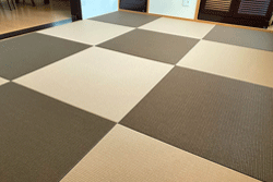 �Q�F�̃_�C�P����@