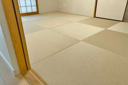 �_�C�P��������@���