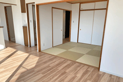 �̫�ї�����