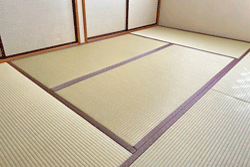 �_�C�P���┒������