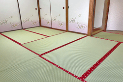 �����݂̒���