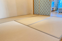 �_�C�P���a����