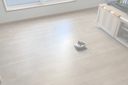 リビングにオーダー和紙畳　大阪