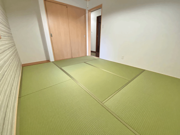 ���n�F������