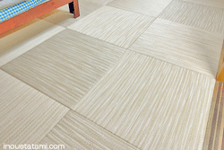 �_�C�P���a���@��g