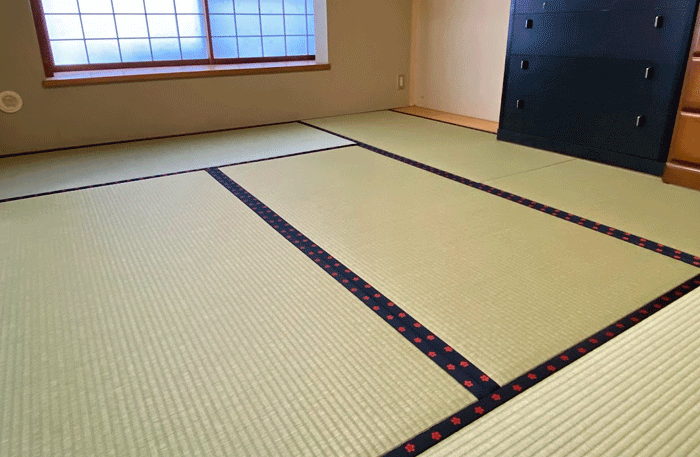 �����ݒ���