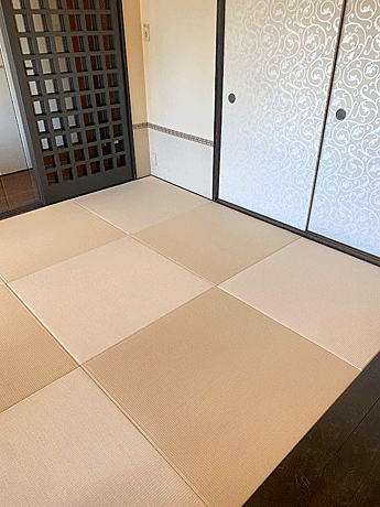 ������ꗮ����