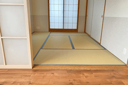 PET�z�[�����[������q��