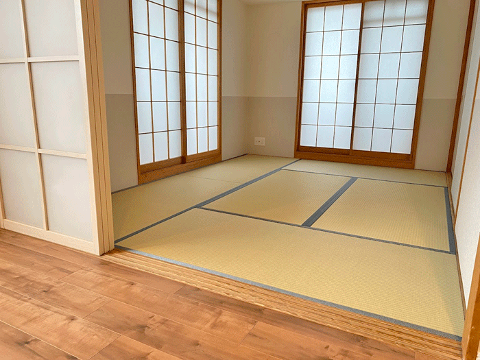 �_�C�P����@���