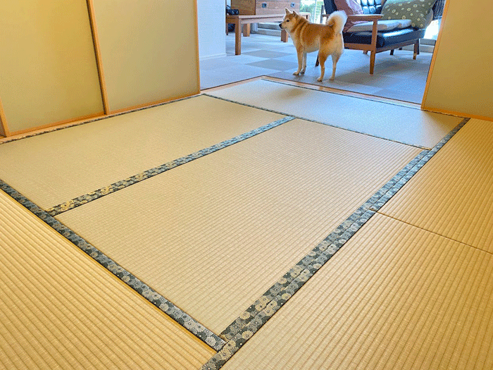 ����������ɂ��œK