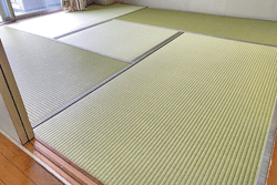 �_�C�P����@���