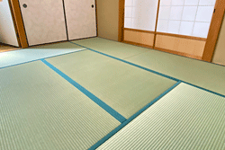 �Ђ݂̂ǂ�@����W���\