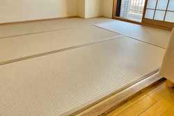 �_�C�P����@���