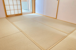 ���@�_�C�P��������