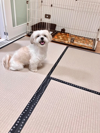 ���߂��낤�N