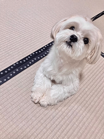 �đ��Y�N�@