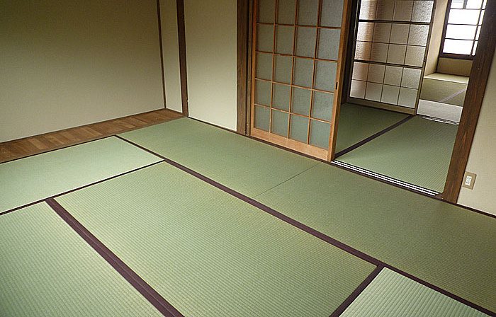 �����ލ�����