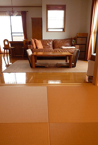 �����F��Color������