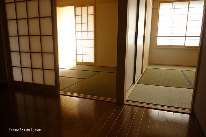 ���Y�􉿊i�f��