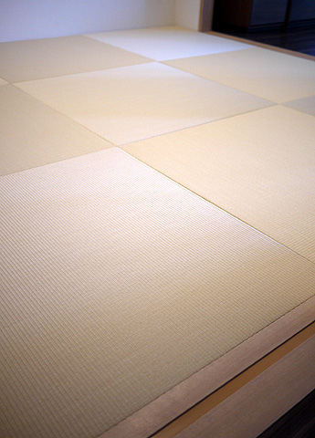 ����ذ��