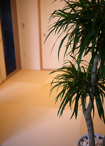 ���N������