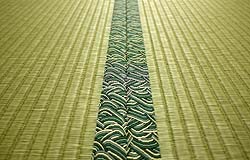 ��������Ȃ���@�a���\