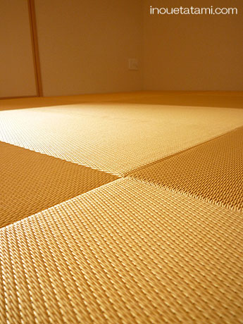 ���D�̏��\