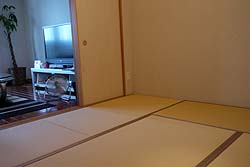 �������ȏ���