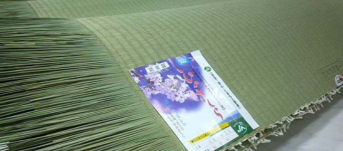 �i���ؖ����E�o�׏ؖ����t�����\