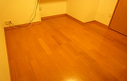 �۰�ݸށ@��{�H�O