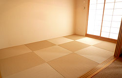 �װ�����D���F