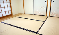 �┒�װ�̐V��