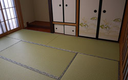 �_�C�P���a����@�s��