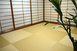 �������\�ւ�