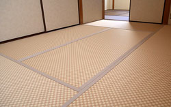 �_�C�P���s����