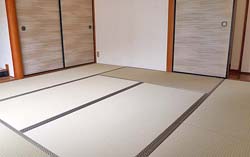 �┒100A�@�ᑐ�F