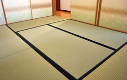 �����݂̒���